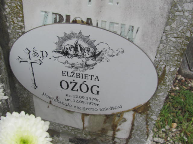 Elżbieta Ożóg 1979 Brzeg Dolny - Grobonet - Wyszukiwarka osób pochowanych