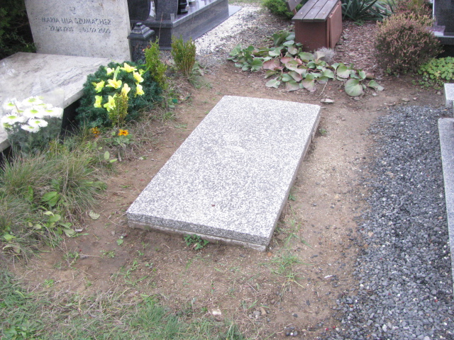 Halina Kołacz 1940 Brzeg Dolny - Grobonet - Wyszukiwarka osób pochowanych