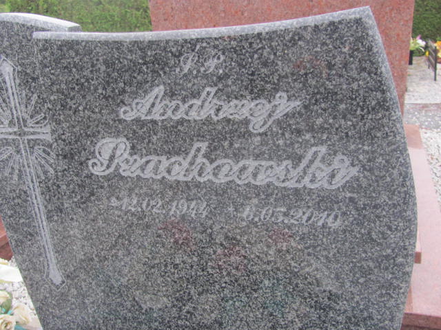 Andrzej Szachowski 1944 Brzeg Dolny - Grobonet - Wyszukiwarka osób pochowanych