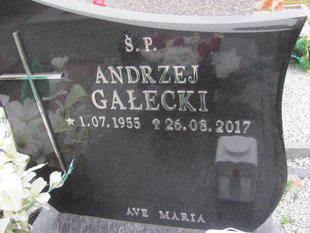 Andrzej Gałecki 1955 Brzeg Dolny - Grobonet - Wyszukiwarka osób pochowanych